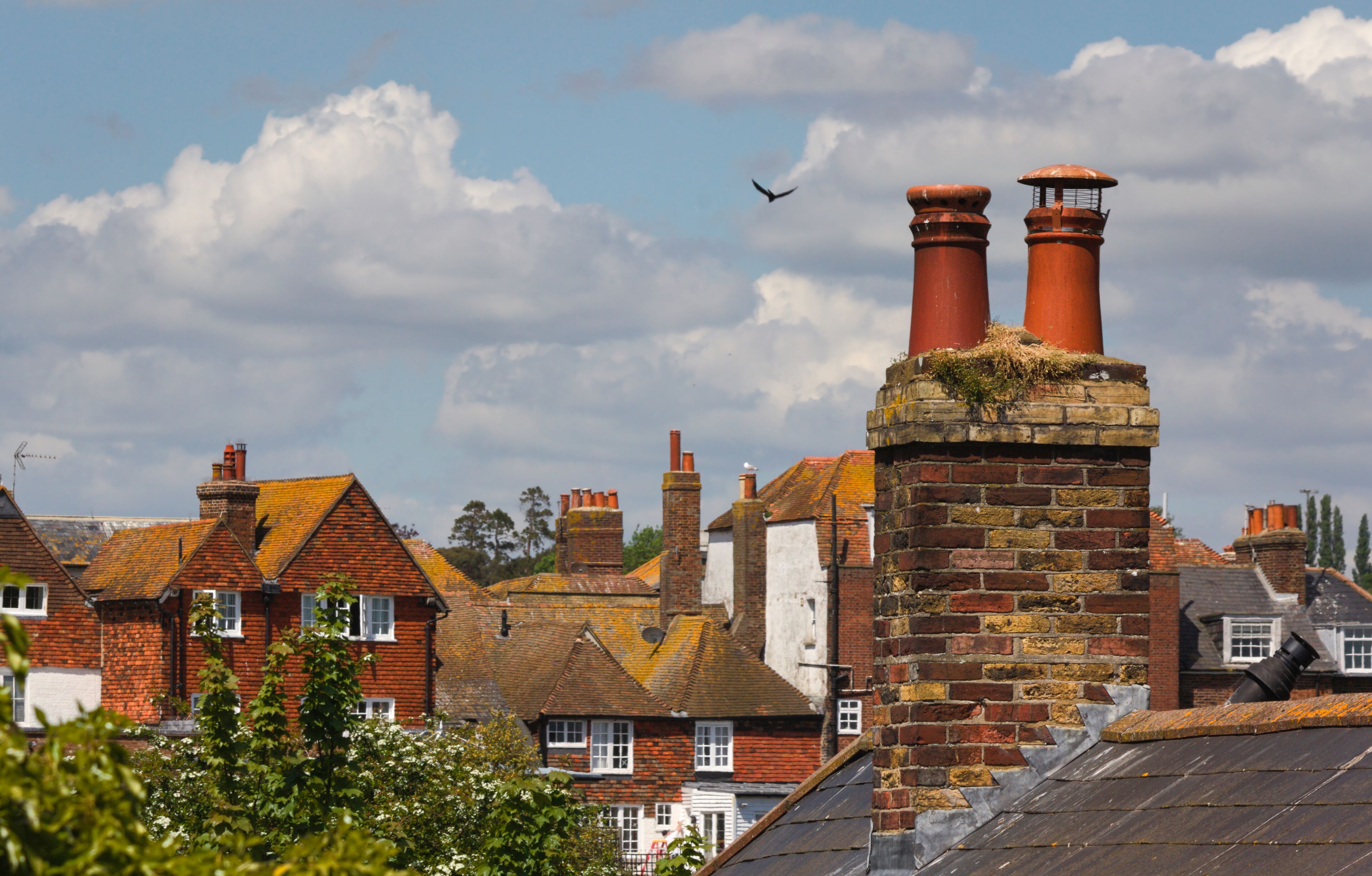 yellow rooftops - V - Rye - UK