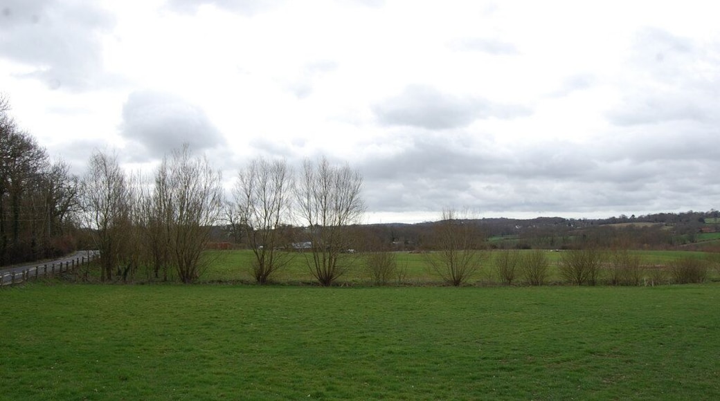Fields near Rogers Wood