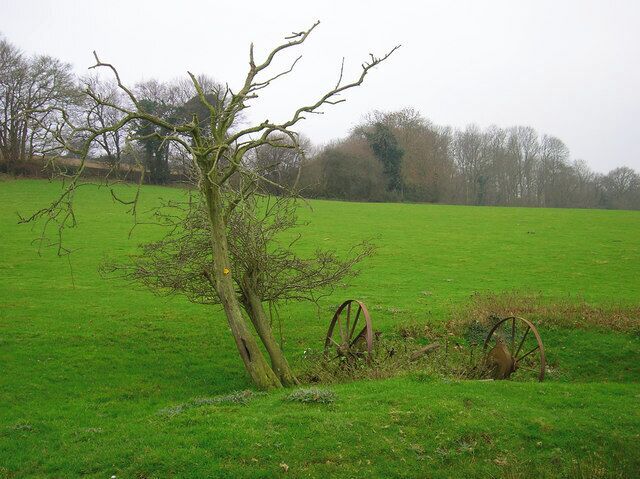 Dead Tree, Leasams Hill Now used as a signpost for the footpath. Next to it a piece of rusting farm equipment whilst in the background is the border of Leasams Wood.