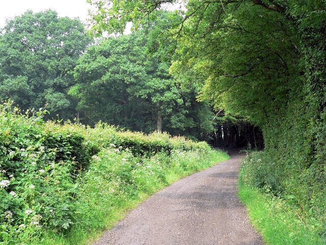 Track through Knelle Wood Access track for several private dwellings