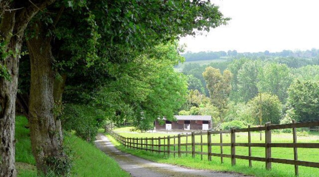 Track to Cherry Tree Cottage Are horses returning to the numbers of medieval times?