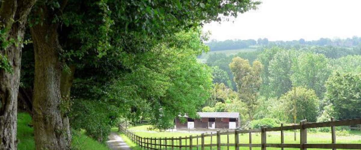 Track to Cherry Tree Cottage Are horses returning to the numbers of medieval times?