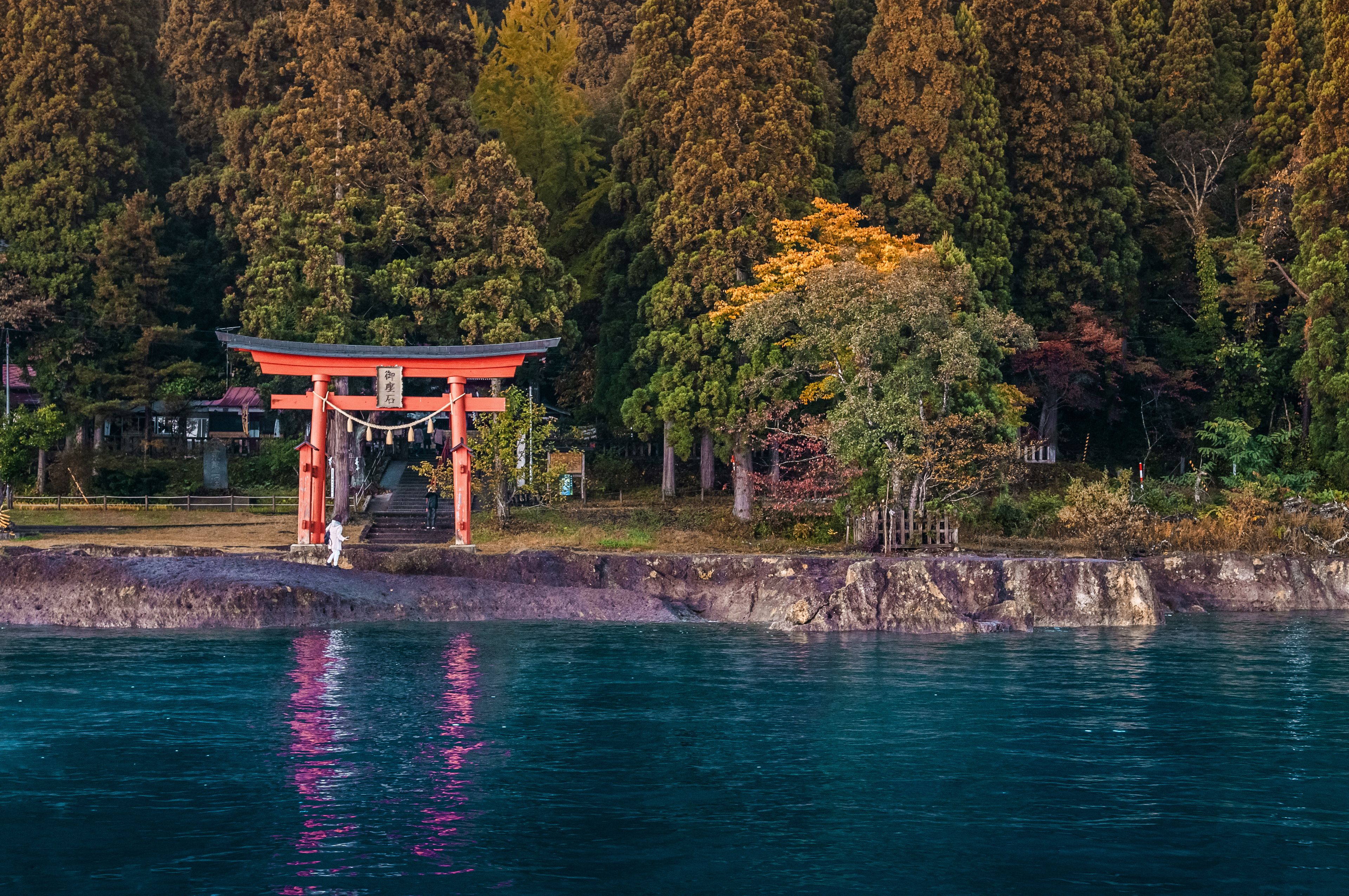 Un torii traditionnel japonais, dressé au bord d’une étendue d’eau paisible, entouré d’une forêt dense et d’un feuillage automnal.