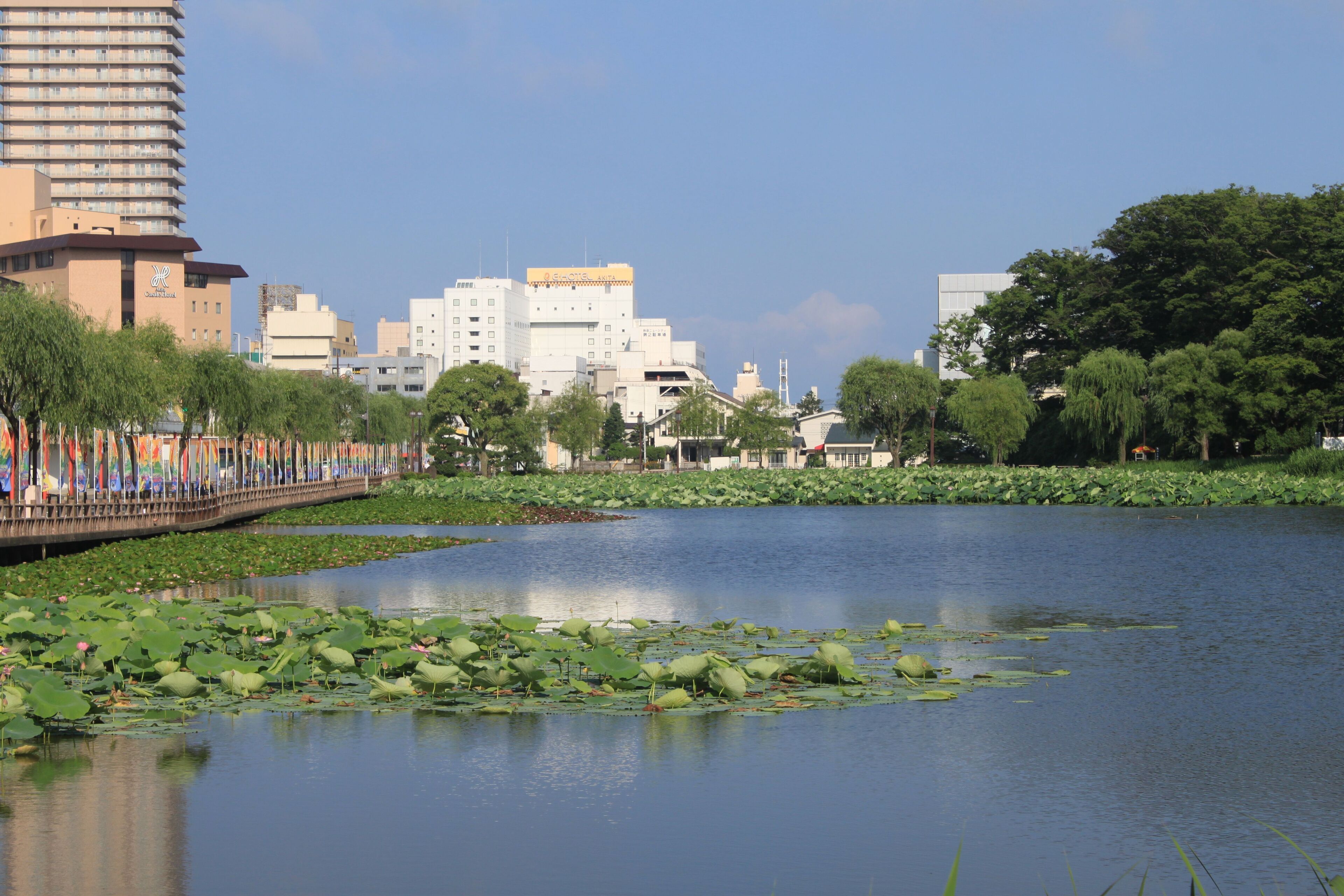 中土橋より西側、穴門の堀を望む。