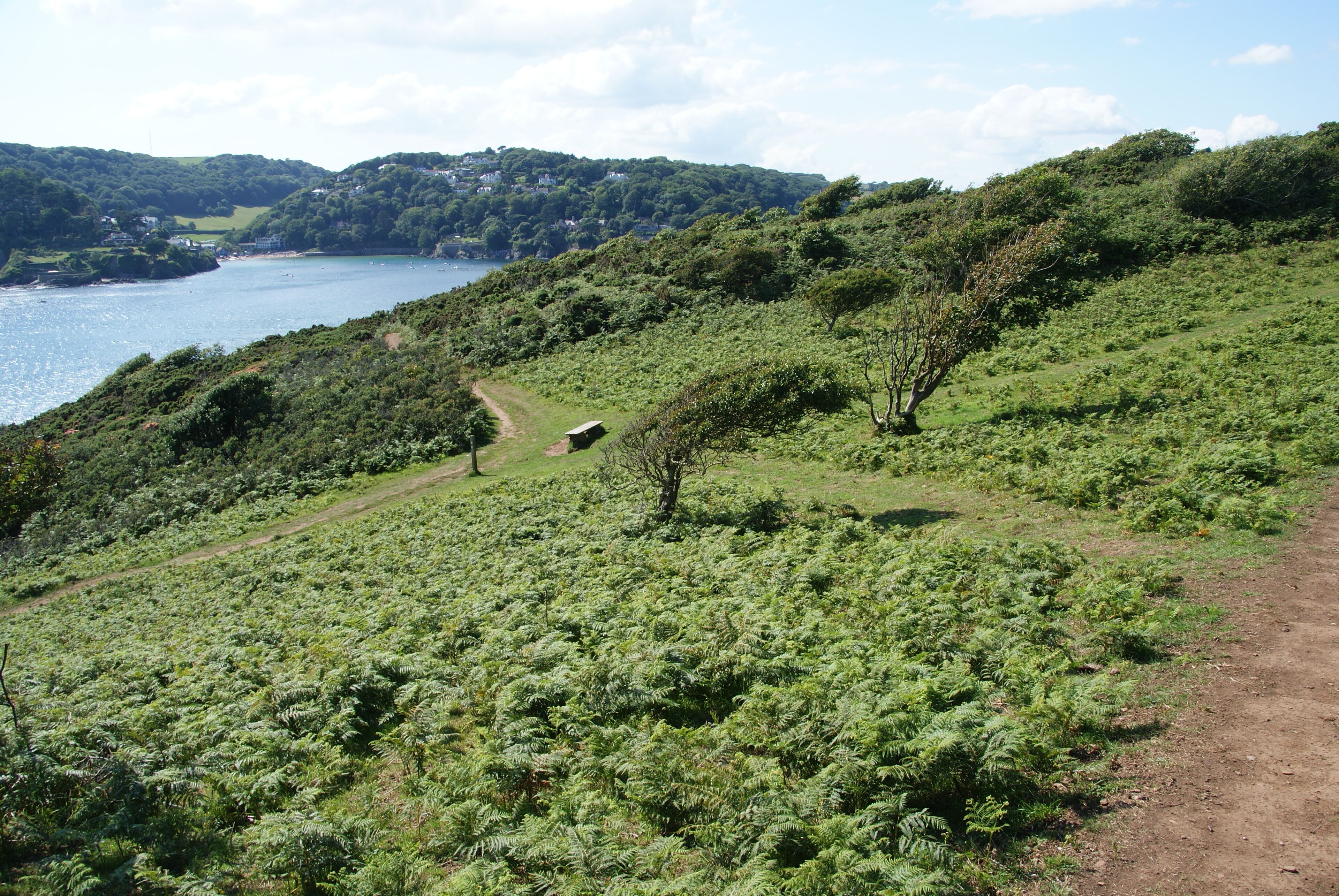 The coastal path on Rickham Common. The higher and lower paths can interchange here, by the entrance to Salcombe Harbour. South Sands can be seen on the opposite side. Moult House can just be seen across the water in the centre on the edge of the cliff.