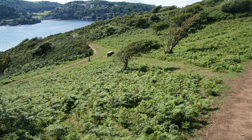 The coastal path on Rickham Common. The higher and lower paths can interchange here, by the entrance to Salcombe Harbour. South Sands can be seen on the opposite side. Moult House can just be seen across the water in the centre on the edge of the cliff.