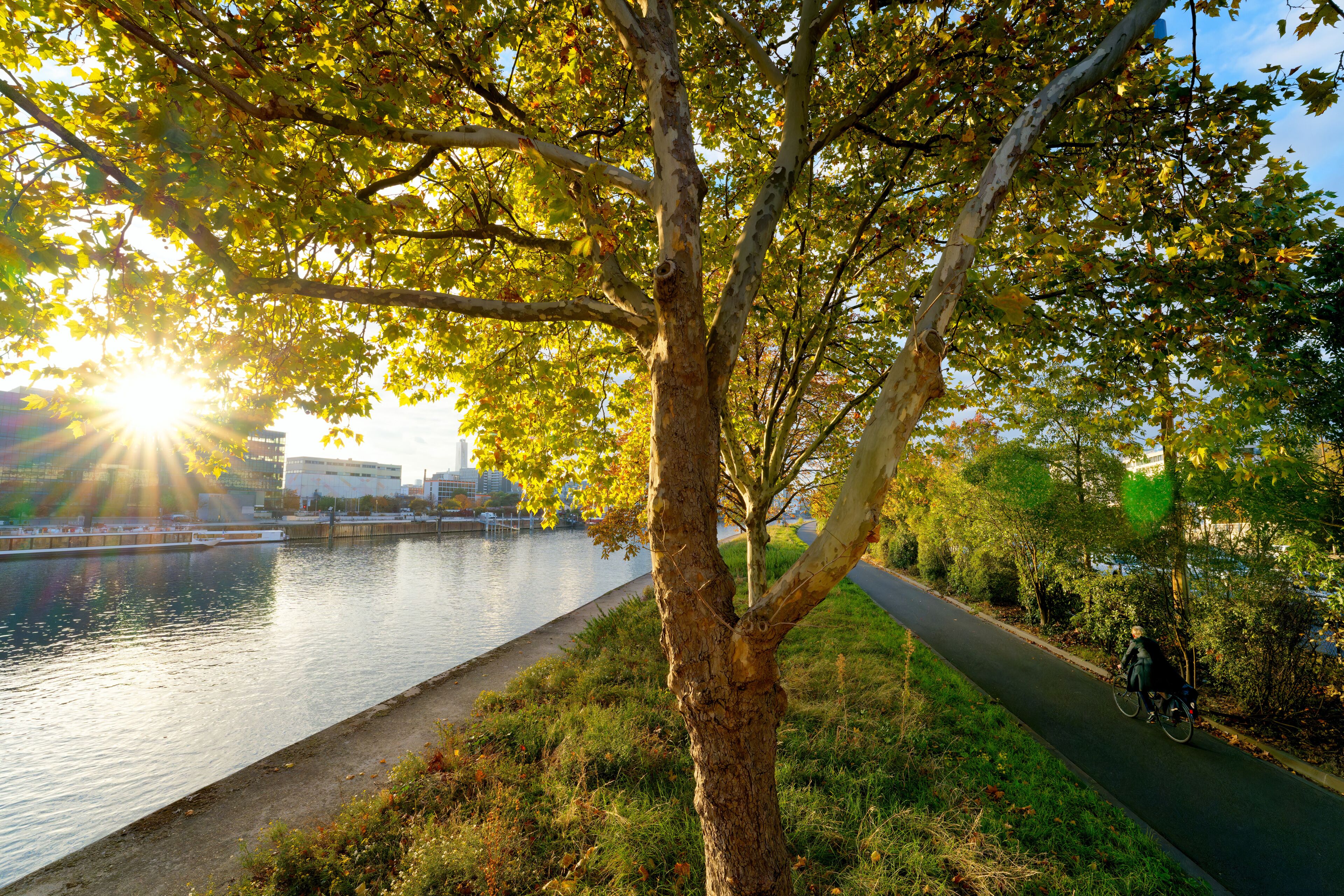 Cycling along the banks of the Seine river quay in Charenton-le-Pont city. Île-de-France region