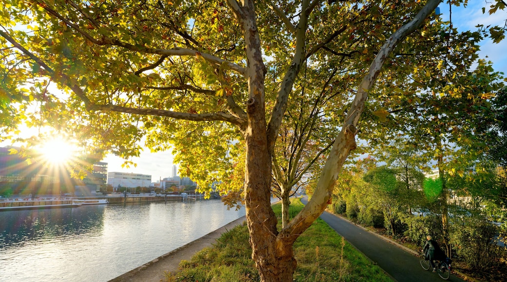 Cycling along the banks of the Seine river quay in Charenton-le-Pont city. Île-de-France region