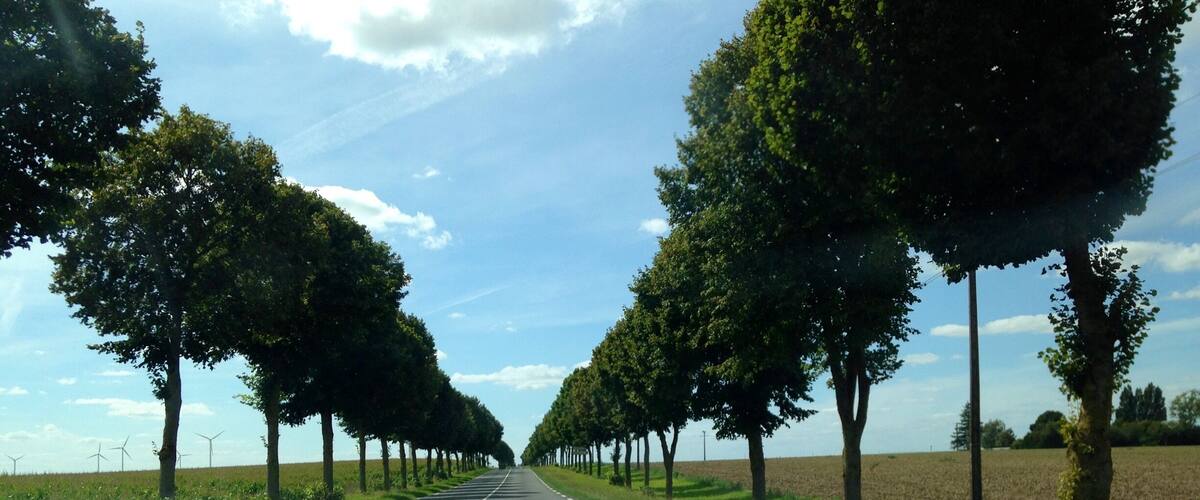 The Road to Rouen, on a charity car race through France in a vintage Xj6.