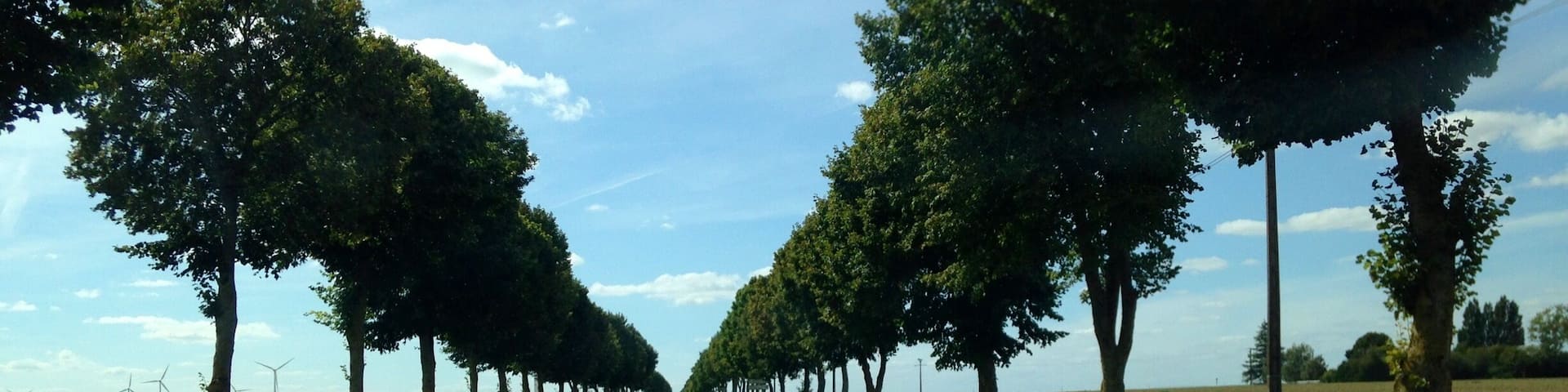 The Road to Rouen, on a charity car race through France in a vintage Xj6.
