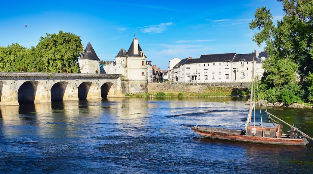 Panoramica ribera del rio Vienne y puente de Enrique IV en Chatellerault, Francia