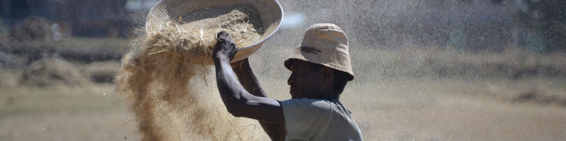 A person in a hat and sleeveless shirt handling a large woven basket filled with hay.