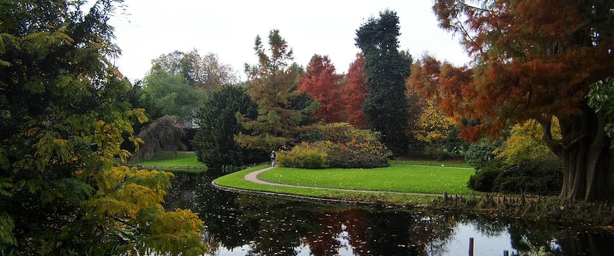 A serene park with a pond, autumn-colored trees, and a well-maintained lawn.