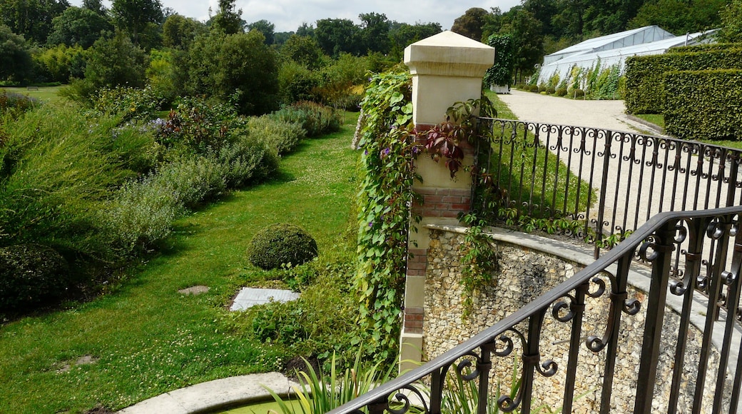 Partie haute de l'Arboretum