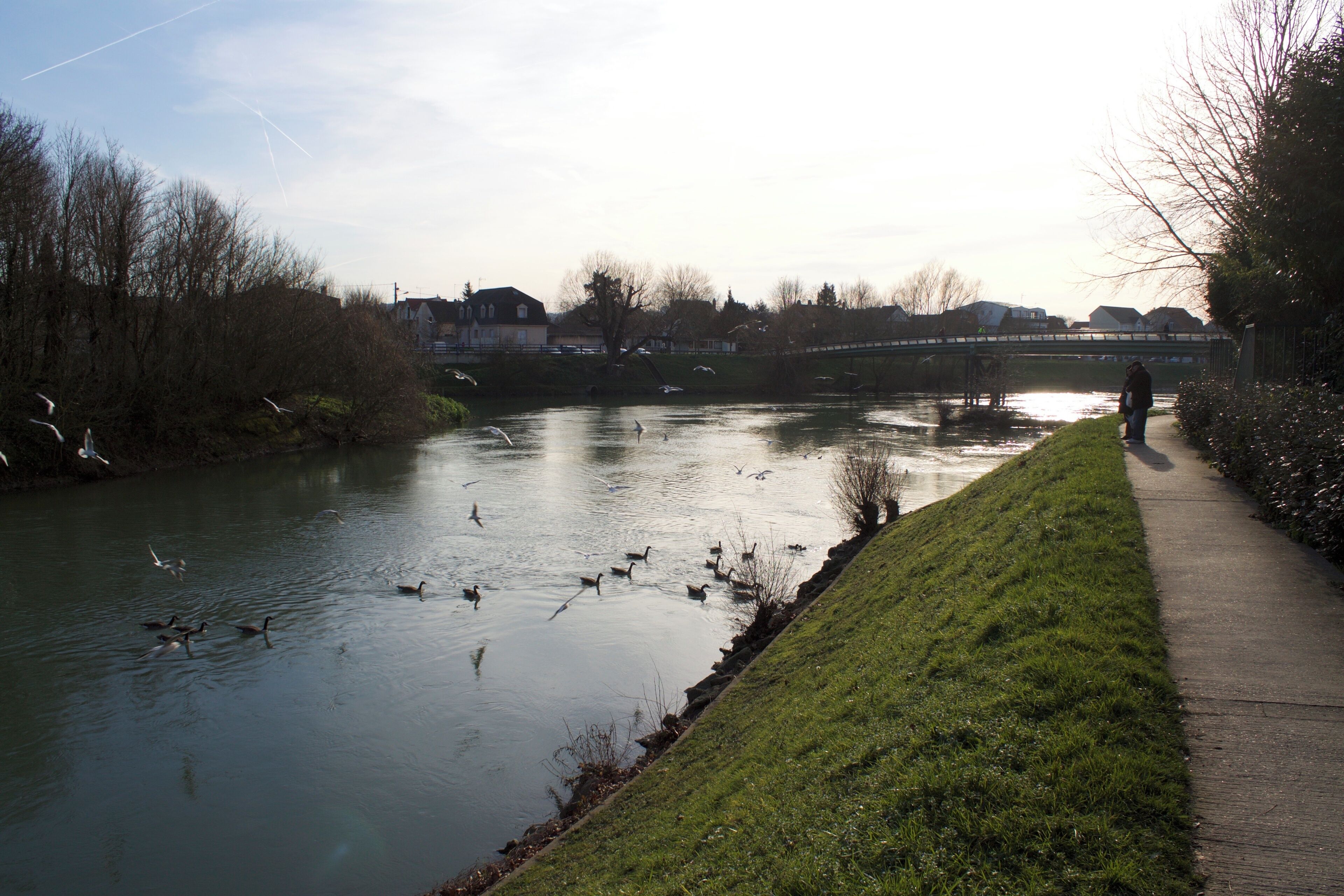 Promenade en bord de Marne
