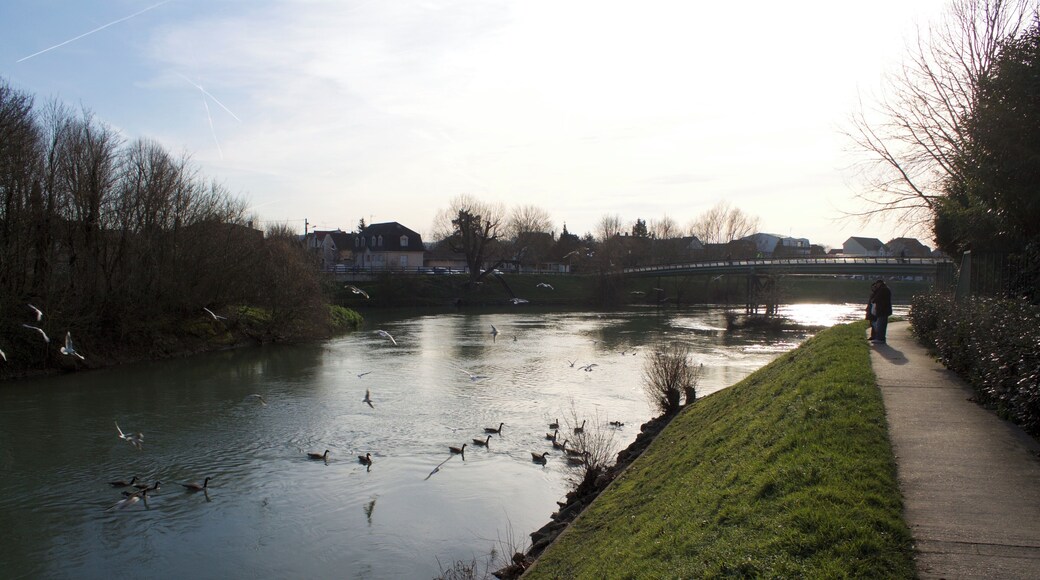 Promenade en bord de Marne