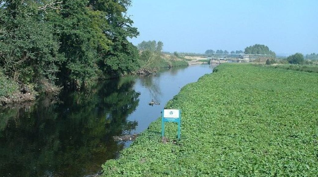 River Tame at Lea Marston. From the road bridge SP205935 looking north