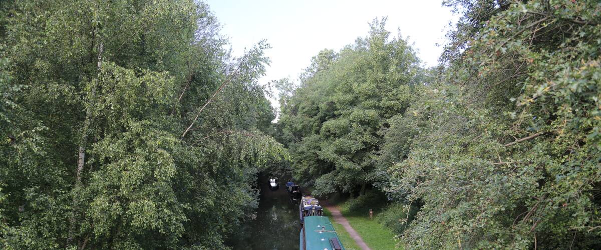 A narrow waterway flanked by dense green foliage, with a green boat docked on the right side.
