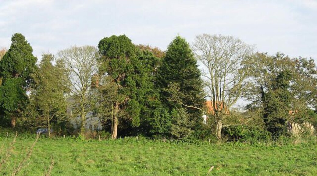Valley Farm Near South Pickenham.