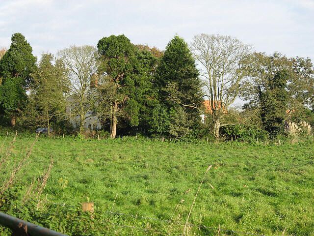 A grassy field with trees and a fence.