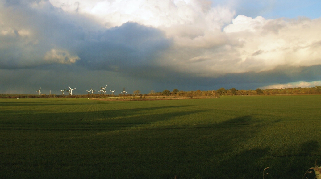 Wind farm near Swafham, Norfolk.