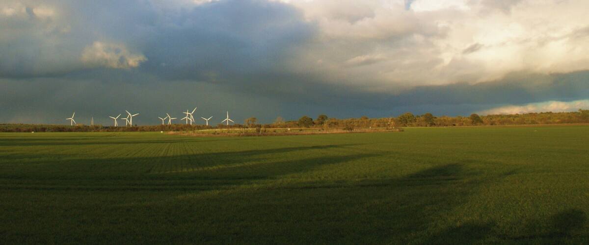 A field with wind turbines under a cloudy sky.
