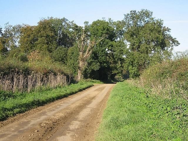 Mud On Peddars Way Despite appearances, on the section in the photograph, the Way is following a road and not a footpath.