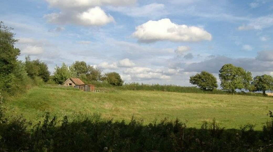 Paddock Field & Outbuildings Holme Lodge B&B paddock with outbuildings of stone and corrugated iron between Sinderby and the track to Park Farm / Holme Lodge.