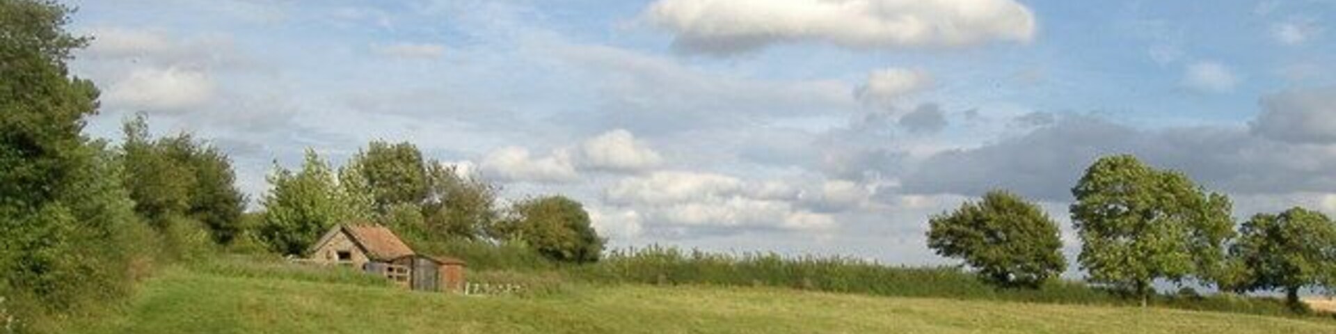 Paddock Field & Outbuildings Holme Lodge B&B paddock with outbuildings of stone and corrugated iron between Sinderby and the track to Park Farm / Holme Lodge.