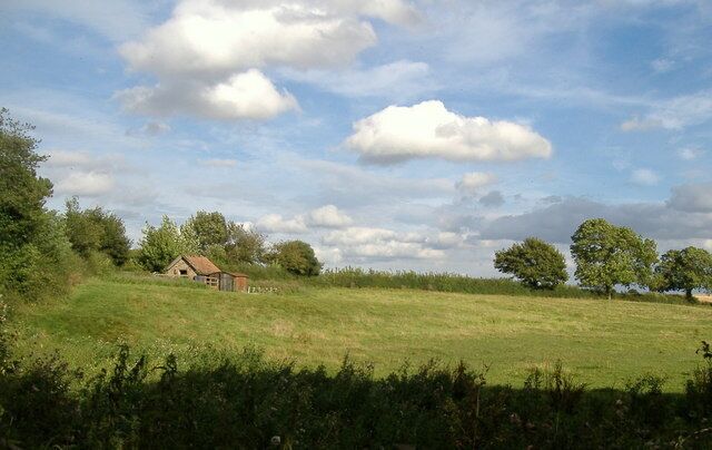 A grassy field with a small wooden house and trees in the background.