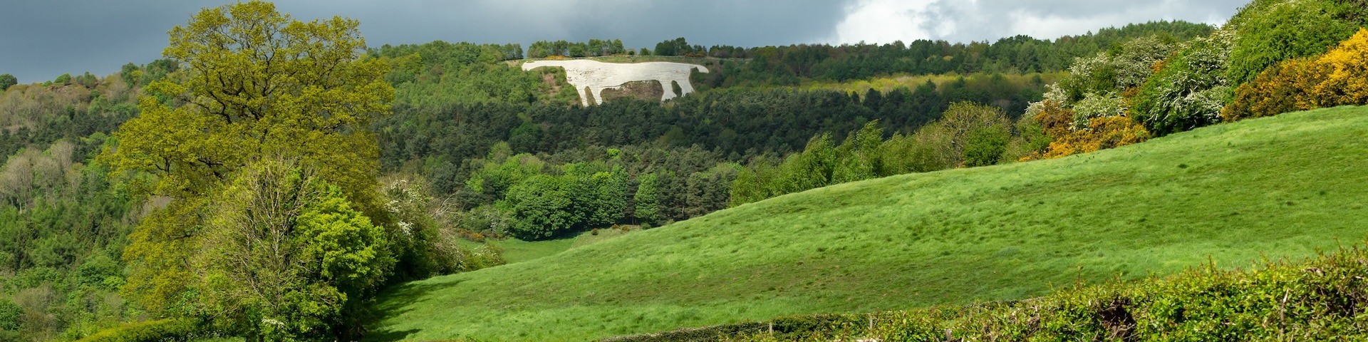 A winding road through a lush green valley with a large white structure on a hill in the background.