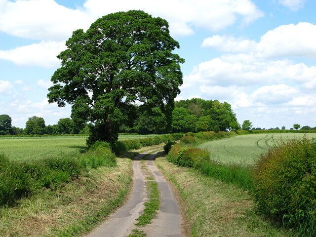 Sandfield Lane Approaching the village of Holme.