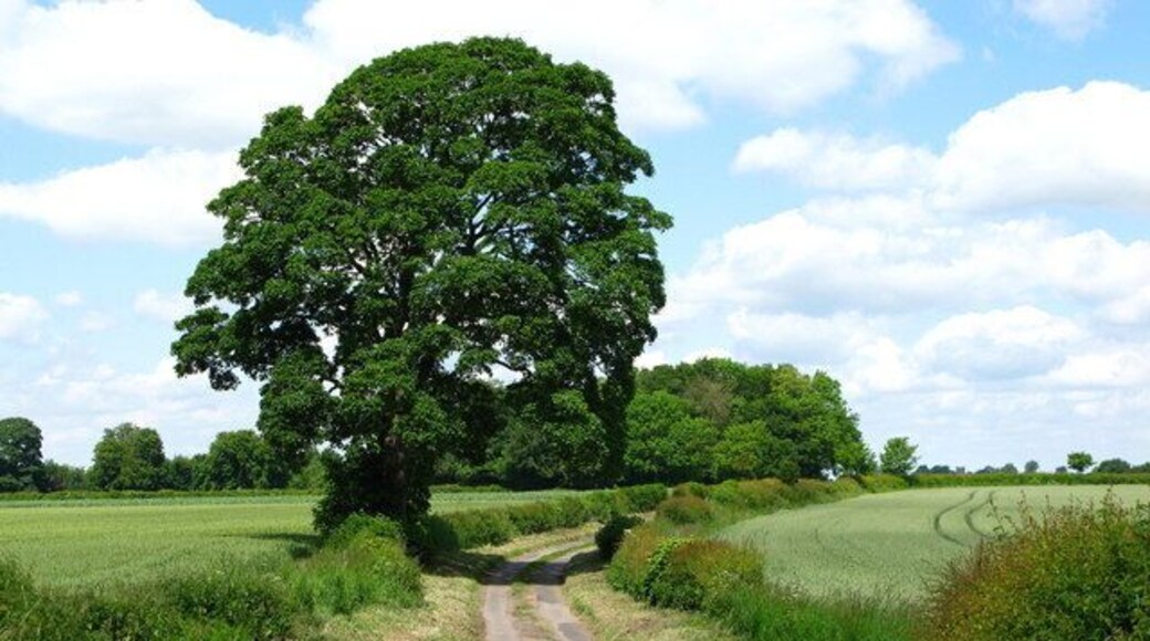 Sandfield Lane Approaching the village of Holme.