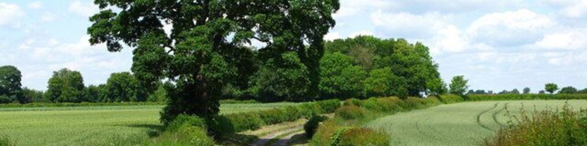 Sandfield Lane Approaching the village of Holme.
