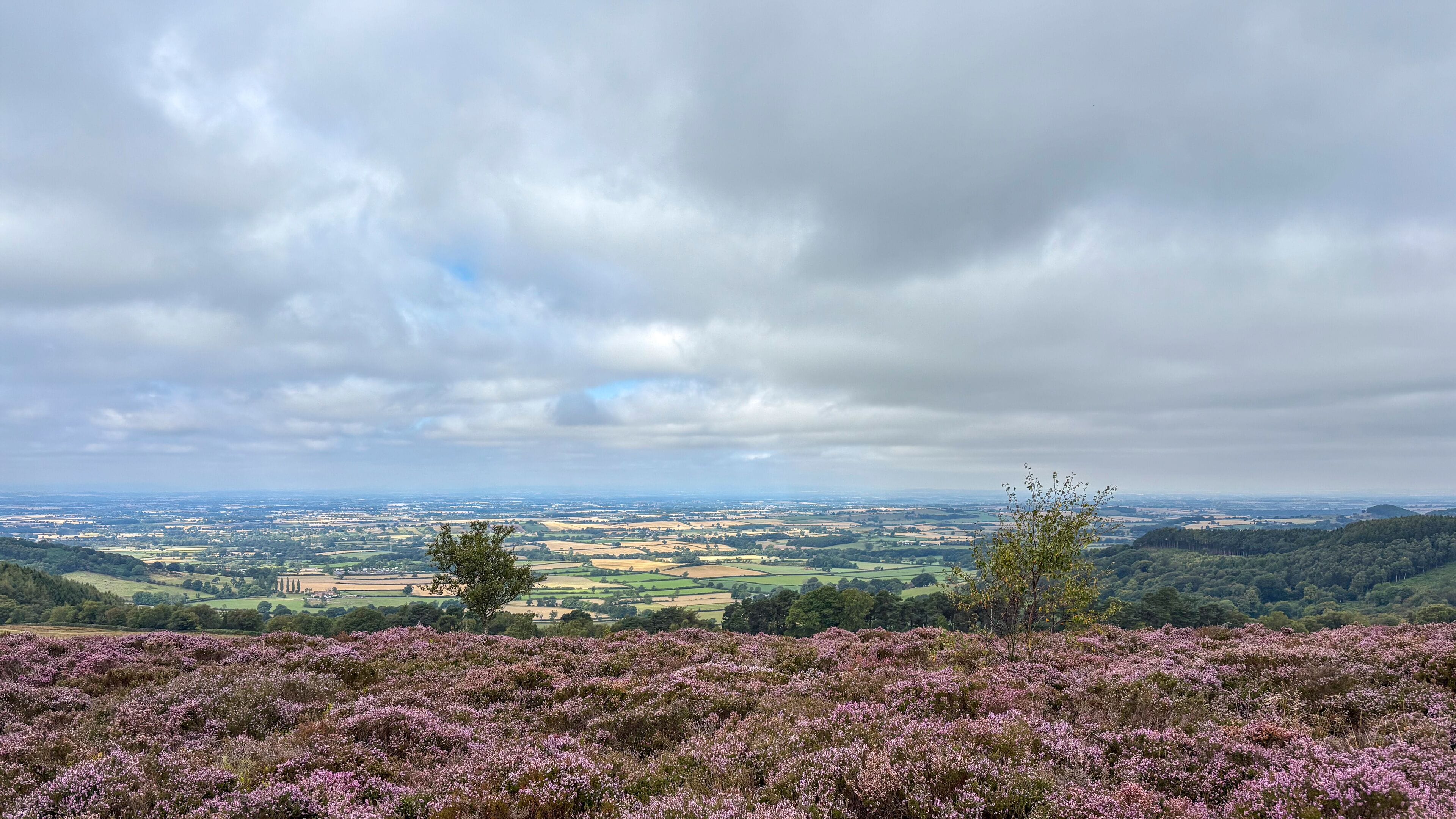 View near Gallow Hill, near Sutton Bank,  Thirsk, North Yorkshire, England, United Kingdom