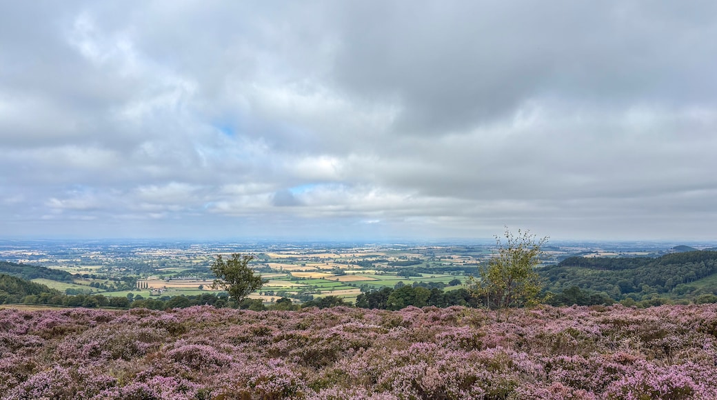 View near Gallow Hill, near Sutton Bank, Thirsk, North Yorkshire, England, United Kingdom