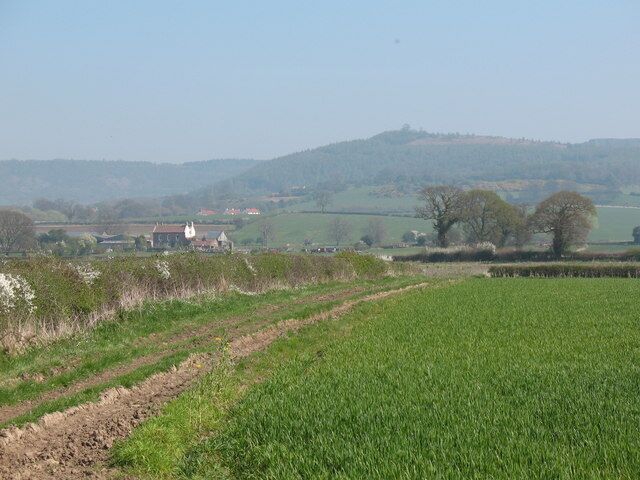 Bridleway near Thorn Hill Bridleway along the edge of fields towards Low Osgoodby Grange. Hood Hill in the distance.