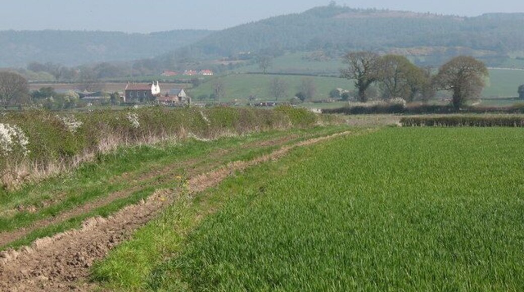 Bridleway near Thorn Hill Bridleway along the edge of fields towards Low Osgoodby Grange. Hood Hill in the distance.