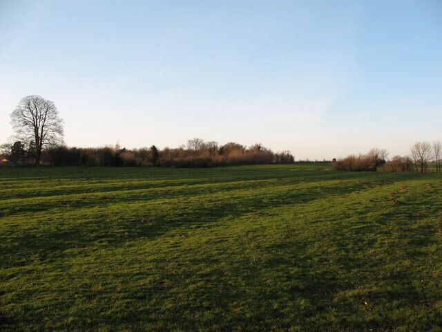 Ridge and furrow at Great Thirkleby Several fields on the north side of the village show good examples of medieval ridge and furrow.
