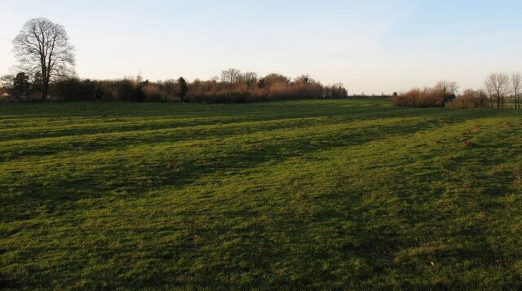 Ridge and furrow at Great Thirkleby Several fields on the north side of the village show good examples of medieval ridge and furrow.