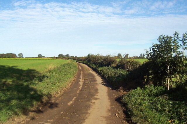 Lane between Holme and Ainderby Quernhow Extremely narrow lane, which causes problems when vehicles meet head on