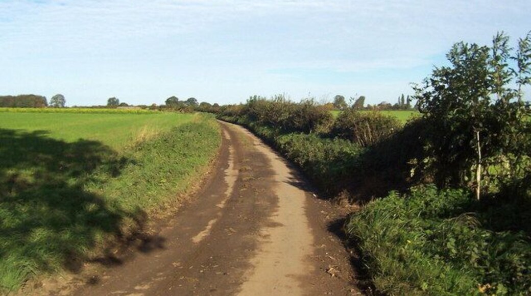Lane between Holme and Ainderby Quernhow Extremely narrow lane, which causes problems when vehicles meet head on