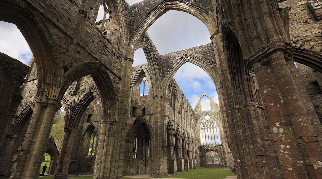This giant 13th-century sandstone abbey stands along the picturesque River Wye. After the Dissolution of the Monasteries in 1536 the lead roof was sold off and the Abbey lay neglected for 200 years. The Abbey was "rediscovered" in the 18th century and became a haven for artists and poets.
Tip: Visit on a weekday in the spring and you may the place all to yourself!
