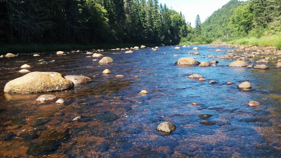 Shallow fresh river#lifeatexpedia