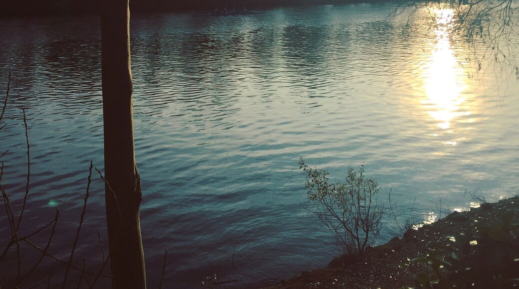 Winter sun (Bords de Marne - France)
December 2015 - Iphone 6
#BordsdeMarne #France #River #Europe