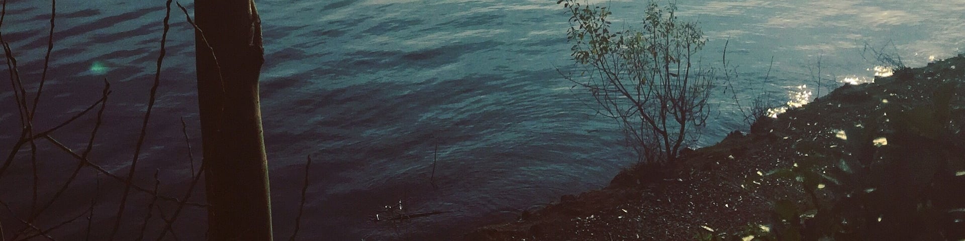 Winter sun (Bords de Marne - France)
December 2015 - Iphone 6
#BordsdeMarne #France #River #Europe