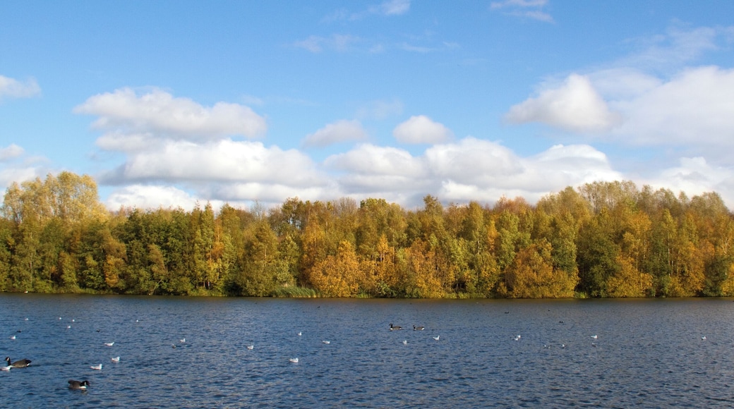 Autumn Lake