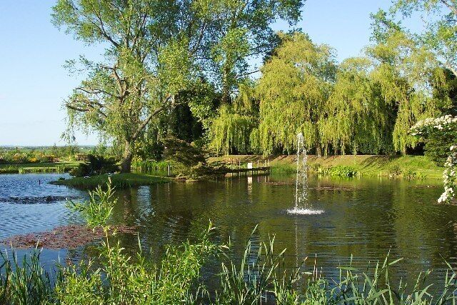 The Pond at Stixwould.