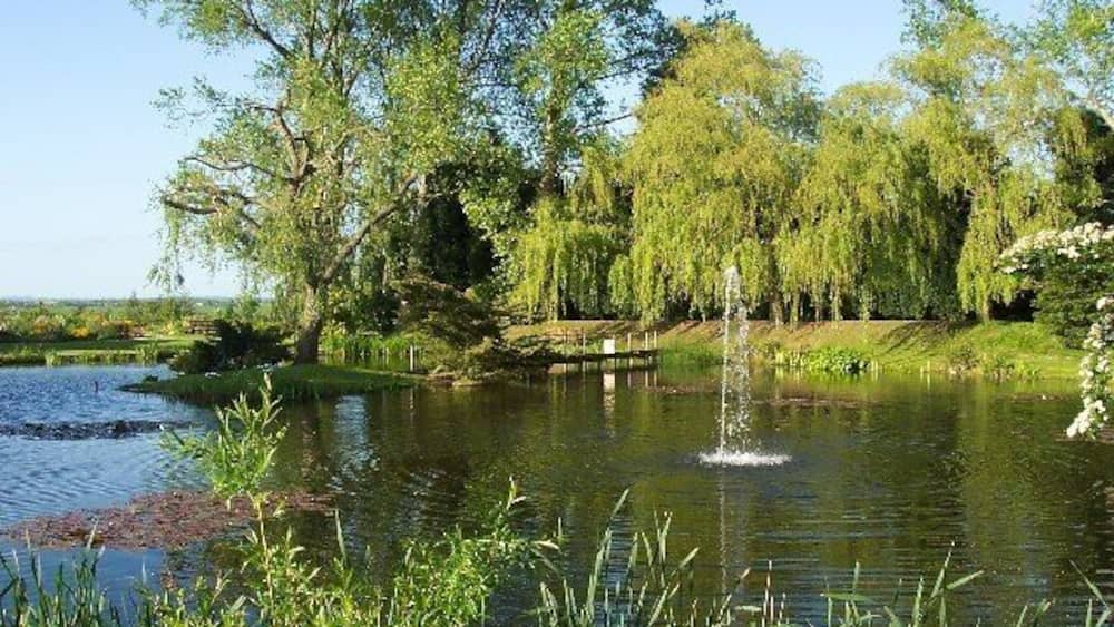A pond with a fountain surrounded by trees and greenery.