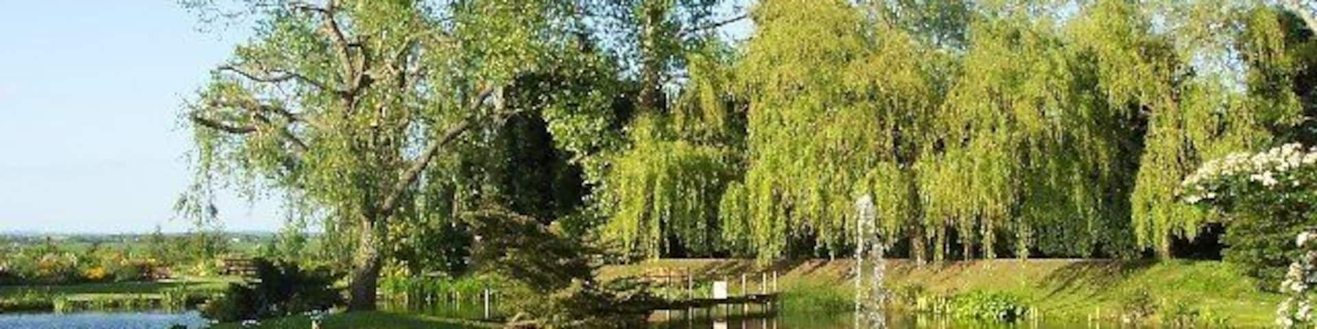 The Pond at Stixwould.